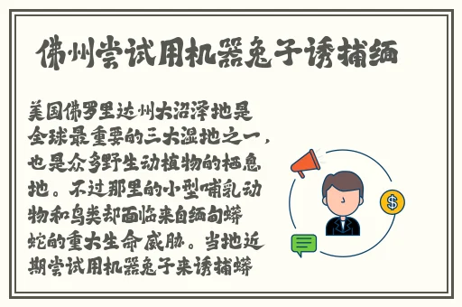 亚洲一区在线91久久蜜桃天堂国产精品